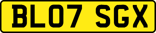 BL07SGX
