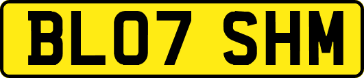 BL07SHM