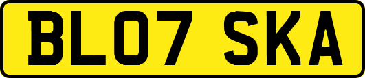 BL07SKA