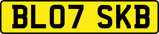 BL07SKB