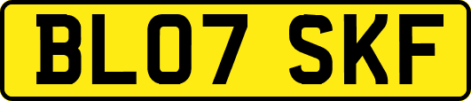 BL07SKF