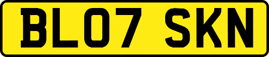 BL07SKN