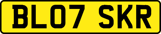 BL07SKR