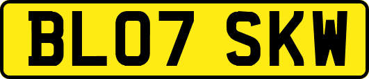BL07SKW