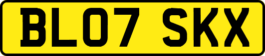 BL07SKX