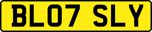 BL07SLY
