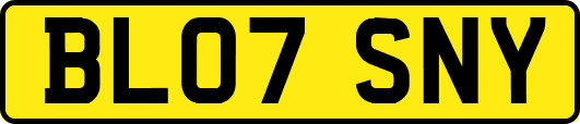 BL07SNY