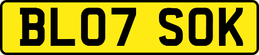 BL07SOK