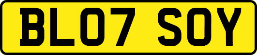 BL07SOY