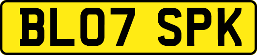 BL07SPK