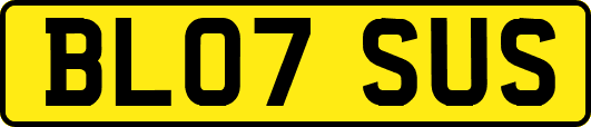 BL07SUS