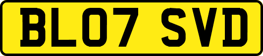BL07SVD
