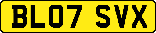 BL07SVX