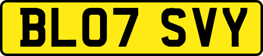 BL07SVY
