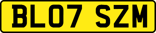 BL07SZM