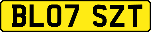 BL07SZT