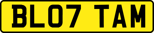 BL07TAM