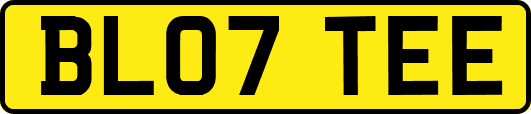 BL07TEE