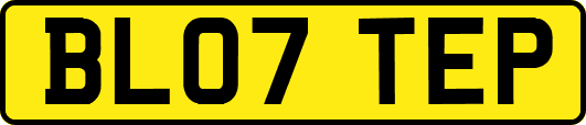 BL07TEP