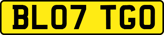 BL07TGO