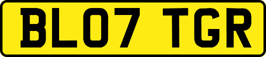 BL07TGR