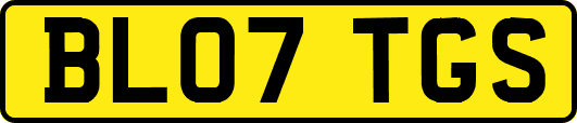 BL07TGS