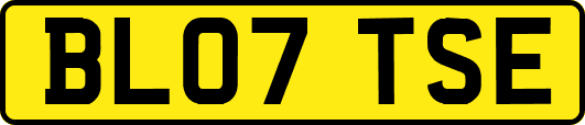 BL07TSE