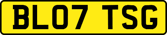 BL07TSG