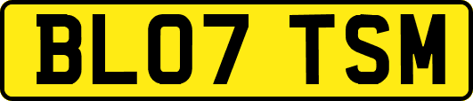 BL07TSM