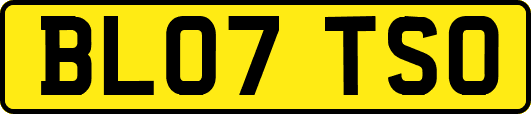 BL07TSO