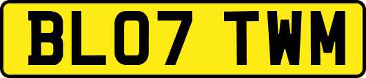 BL07TWM