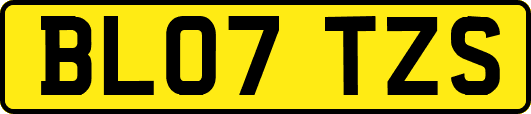 BL07TZS