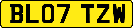 BL07TZW
