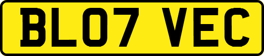BL07VEC