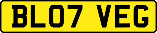BL07VEG