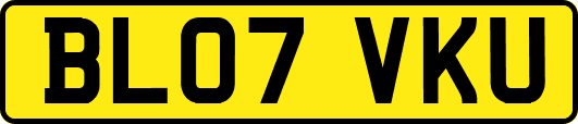 BL07VKU