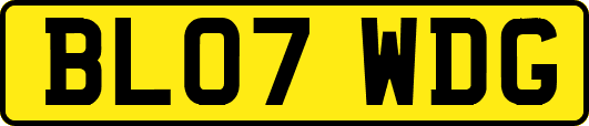 BL07WDG