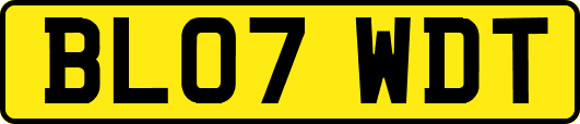 BL07WDT