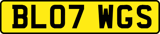 BL07WGS