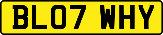 BL07WHY
