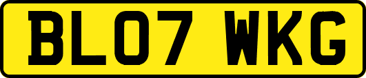 BL07WKG