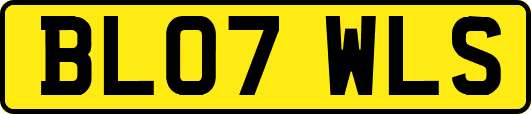 BL07WLS