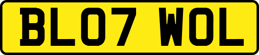 BL07WOL
