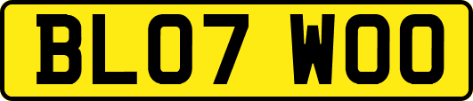 BL07WOO