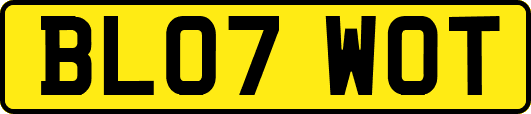 BL07WOT