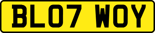 BL07WOY