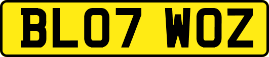 BL07WOZ