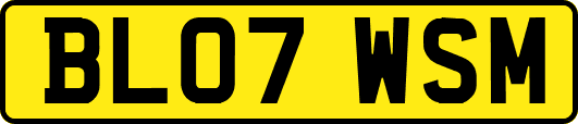 BL07WSM