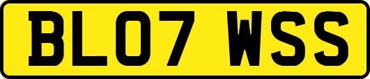 BL07WSS
