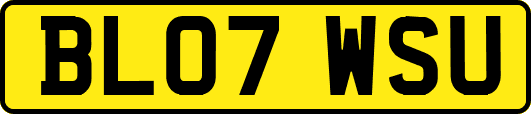 BL07WSU